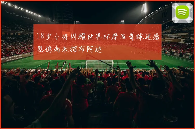 18岁小将闪耀世界杯摩洛哥球迷感恩德尚未招布阿迪