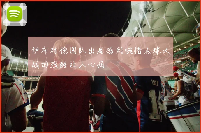 伊布对德国队出局感到惋惜点球大战的残酷让人心痛
